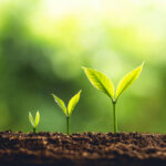 दैनंदिन सवयी आणि सातत्य यशाकडे नेणारा मार्ग दर्शवणारी प्रतिमा